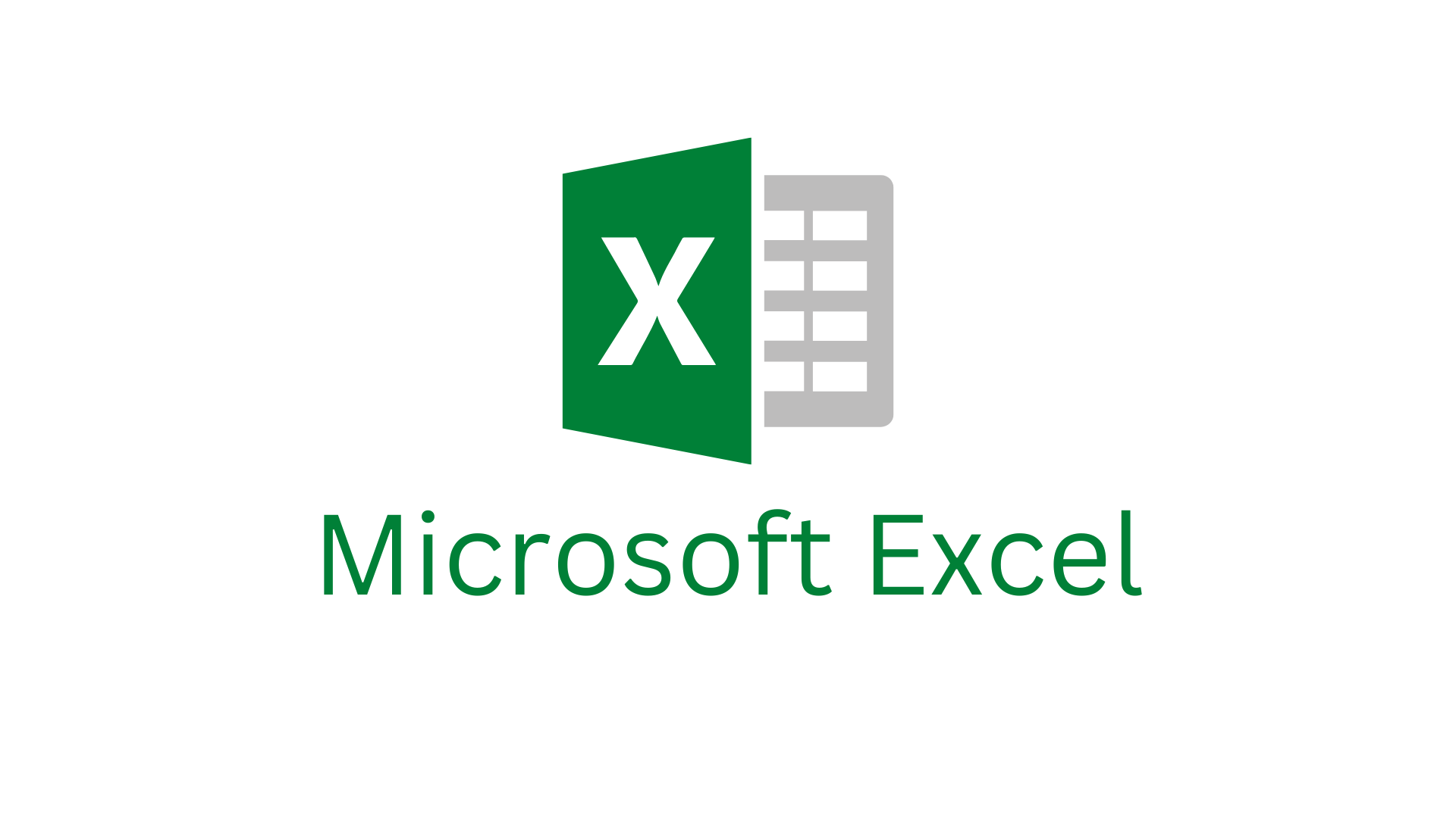 MICROSOFT EXCEL